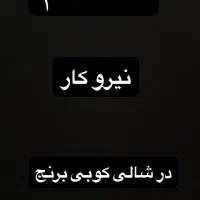 نیروی کار برای شالی کوبی برنج