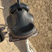 زین کابوی|اسب و تجهیزات اسب‌سواری|شهریار, اسکمان|دیوار