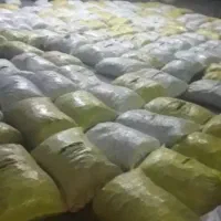 بامیه سبز|خدمات باغبانی و درختکاری|بندرعباس, |دیوار