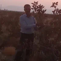 باغ پسته۱۵ ساله  احمد آقایی بختگان آباده طشک|فروش زمین و ملک کلنگی|بختگان, |دیوار