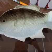 ظروف پذیرایی|ظروف سرو و پذیرایی|تهران, امانیه|دیوار