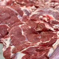 گوشت گوساله گوسفند گرم و منجمد