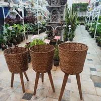 استند پایه گلدان دور حصیری سه تایی شفلرا آگلونما|گل و گیاه طبیعی|قم, نیروگاه|دیوار