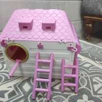 لانه پرندهٔ عروس هلندی