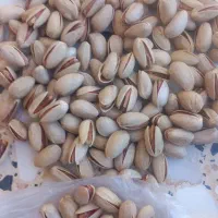 پسته فروشی درجه یک