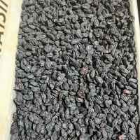 مویز|خوردنی و آشامیدنی|مشهد, میعاد (شهرک غرب)|دیوار