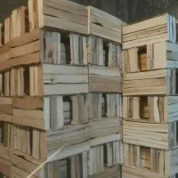 کارتن مخصوص روی جعبه چوبی سبد چوبی انگورسیاه|ابزارآلات|کامیاران, |دیوار