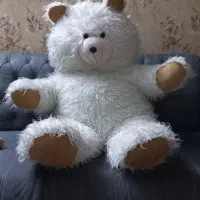 شاسخین.خرس سفید