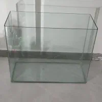 آکواریوم و لوازم تزیینی|ماهی|ایلام, |دیوار