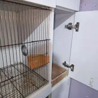 قفس اروپایی|لوازم جانبی حیوانات|مشهد, سمزقند|دیوار