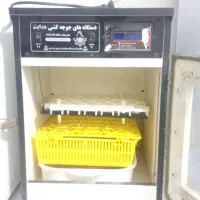 دستگاه ‌جوجه‌کشی‌