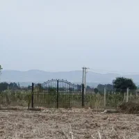 ۱۰۰مترزمین کشاورزی،باغچه۹۵تومن(دسترسی راحت)