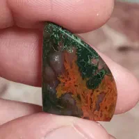 گل اناری های درجه یک|جواهرات|شیراز, شهرک مطهری|دیوار