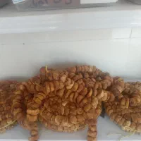 انجیر