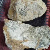 سنگ شجرآماده تراش