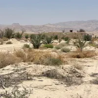 فروش ۱۹هکتار زمین کشاورزی سند دار|فروش دفتر صنعتی، کشاورزی، تجاری|لار, |دیوار