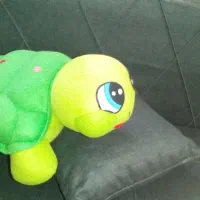 عروسک لاک پشت.|اسباب‌بازی بچه|قدس, شهر‌قدس|دیوار