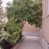 راهنمایی