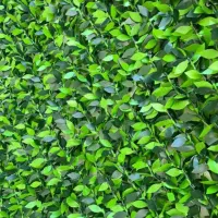 فنس برگی و خز ، پادری اسفنچی|مصالح و تجهیزات ساختمان|یزد, |دیوار