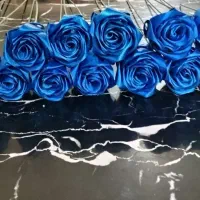 گل روبانی شاخه 15