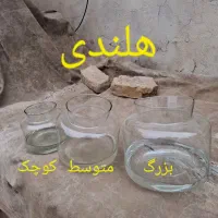 تنگ وشیشه ماهی