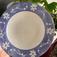 ظروف ارکوپال|ظروف سرو و پذیرایی|اصفهان, مرداویج|دیوار