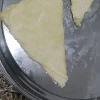 شیر-ماست -کره بادورچوبی -سرشیر مال گاو های محلی