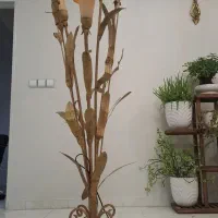آباژور سالم و زیبا