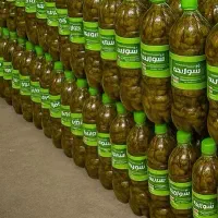 خیارشور شیروان با سیب سلامت