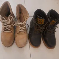 پوتین. وکتونی