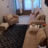 گیلم فرش Louis Vuitton