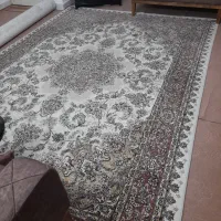 فرش ۹متری|فرش|رشت, رودباری|دیوار