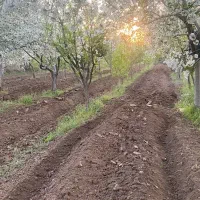 6هزارمتر-باغ-بهترین-نقطه-قزوین-فروش-بمتراژ-کوچکتر