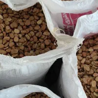 باقالی خوش پخت