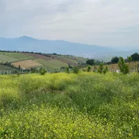 1000متر زمین سند تک برگ خوش قواره دوبر|فروش زمین و ملک کلنگی|توتکابن, |دیوار