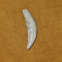 سنگ بالایی گرووگ