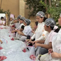 کارگاه کودک سرزمین بازی و اوریگامی