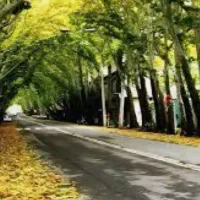 مغازه  تجاری فروشی در.بلوار معلم  چهارباغ