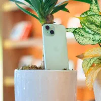 آیفون 15 سبز هاوایی