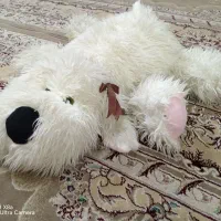 عروسک پولیشی خارجی