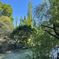 استخدام پارکبان در رستوران