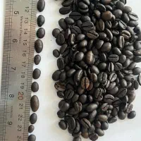 قهوه تازه رست شده