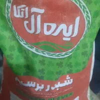 فروش عمده شبدر برسیم