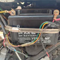 کاملا سالم قیمت مفت