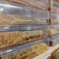 عسل کریستال سراب