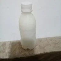 شیرالاغ در حضور مشتری دوشید میشود