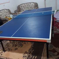 میز پینگ پنگ