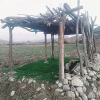 فروش بز با کهره