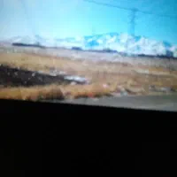 نیرو جهت چیدن لوبیا و سیب زمینی