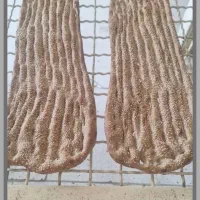 شاطر و خمیر چونه بربری